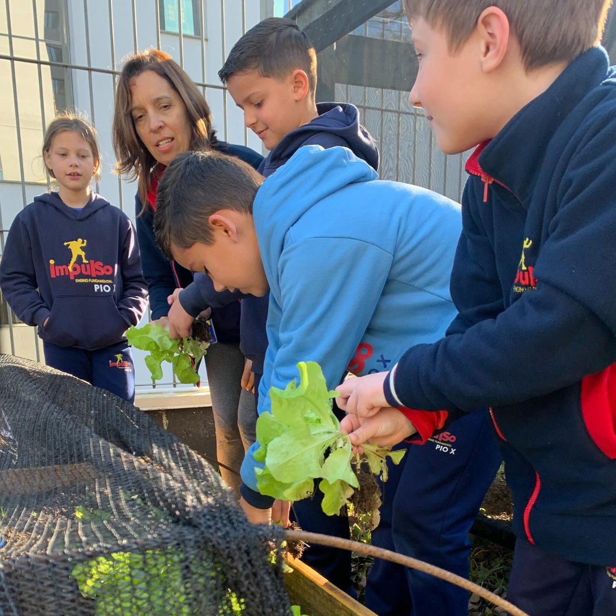 faça uma visita (1)