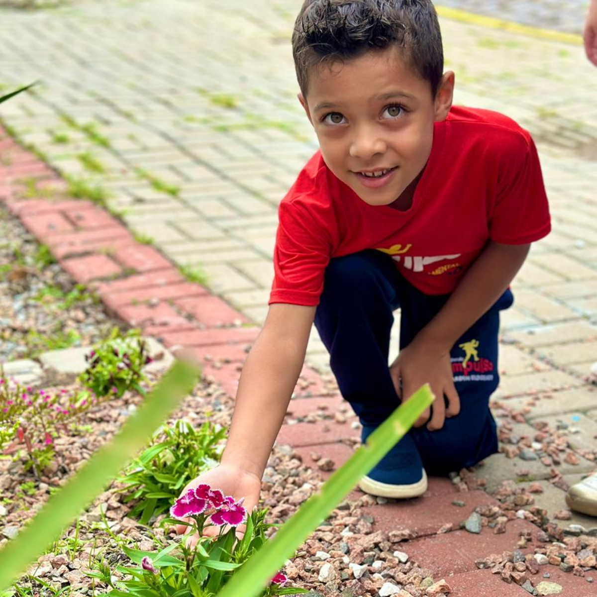 impulso jardim eldorado (1)